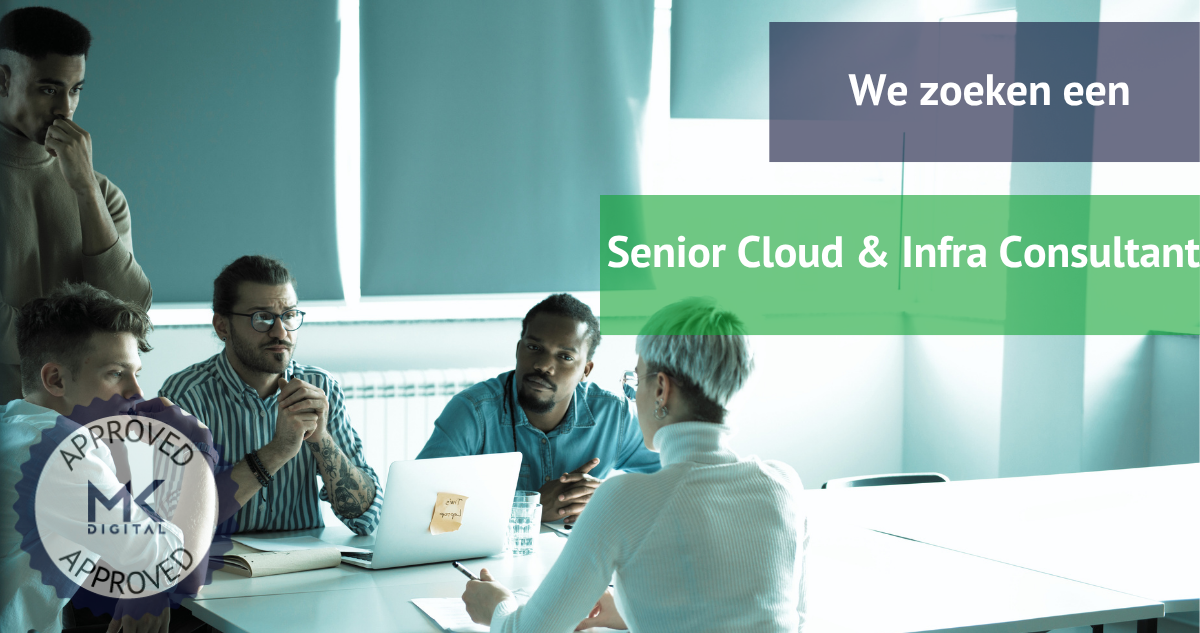 Senior Cloud & Infra Consultant